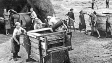 Живя неделями в шалашах, тыловички трудились на колхозных полях. Пахать приходилось на быках втроём: одна ведёт быка, вторая погоняет его, а третья идёт за плугом. Фото из архива редакции