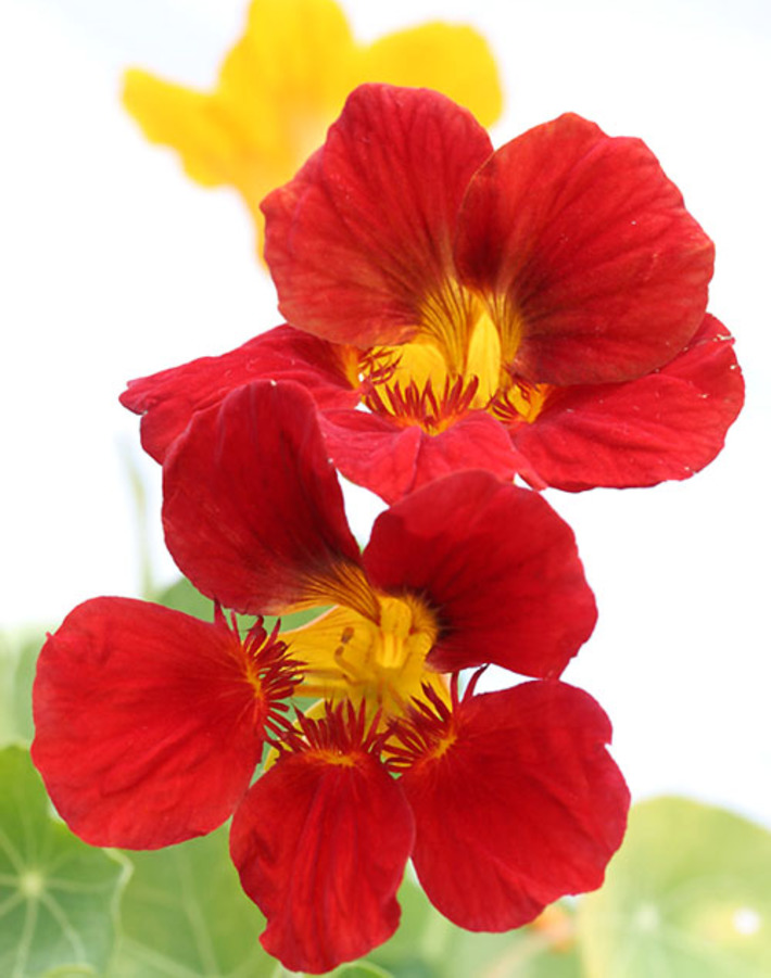 Фото с сайта www.photoforum.ru