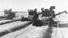 Фото Бориса ШУВАЛОВА, из архива «Советской Сибири»