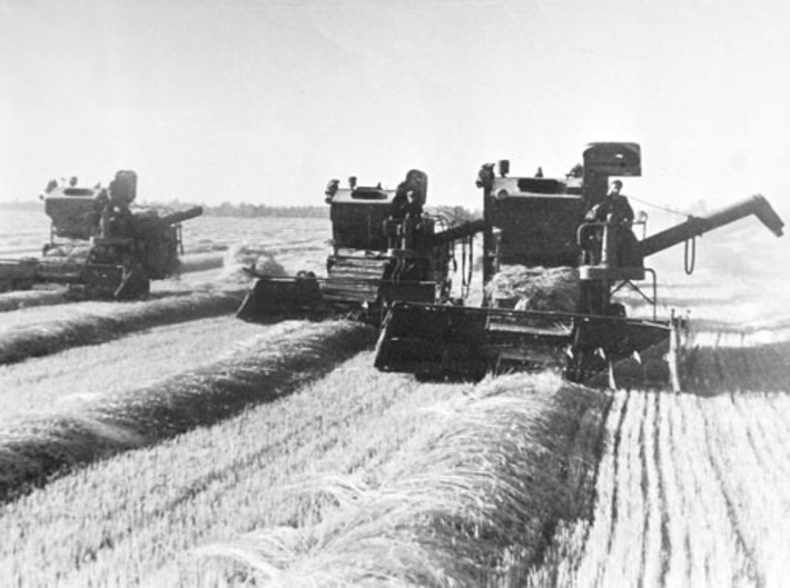 Фото Бориса ШУВАЛОВА, из архива «Советской Сибири»