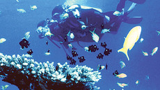 Фото с сайта www.aqua-sport.com