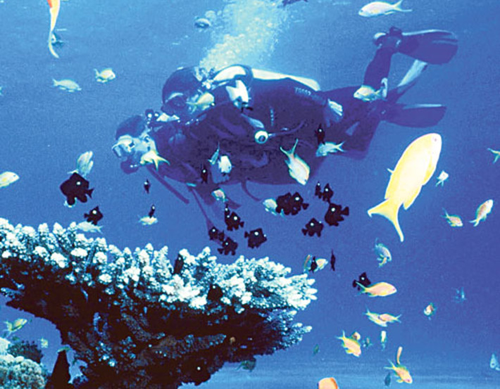 Фото с сайта www.aqua-sport.com