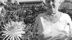 Существует примета: подаришь георгин любого цвета — укрепишь дружбу. Фото Марины ЛУПЕЙКЕНЕ