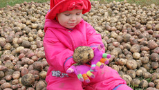 Фото Михаила ПЕРМИНА