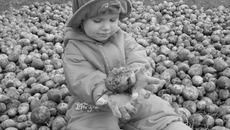 Фото Михаила ПЕРМИНА