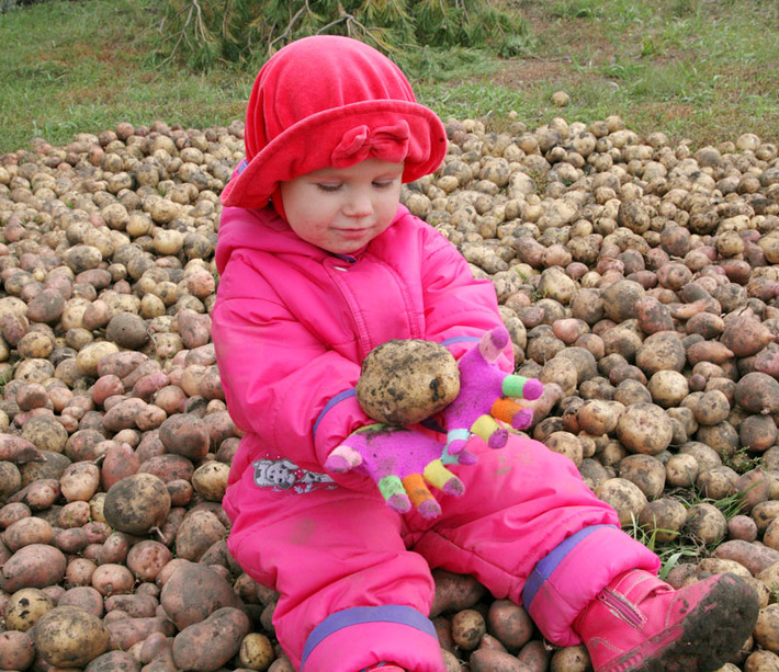 Фото Михаила ПЕРМИНА