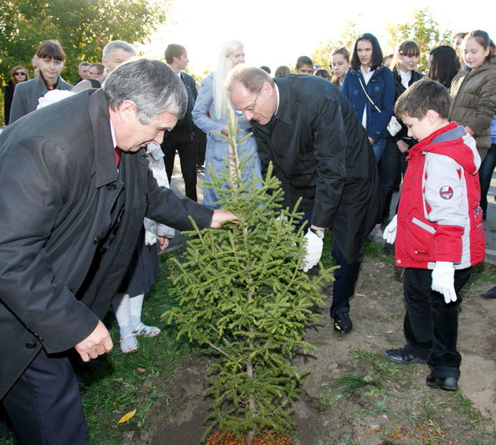 Теперь деревца будут радовать горожан своим ярким вечнозеленым нарядом. Фото Аркадия УВАРОВА