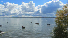 Поле битвы рыбаков. Фото предоставлено пресс-службой ФГБУ «Верхнеобьрыбвод»