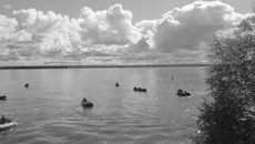 Поле битвы рыбаков. Фото предоставлено пресс-службой ФГБУ «Верхнеобьрыбвод»