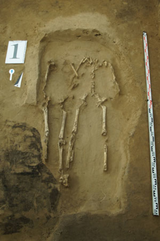 Берёзовый остров. Ранняя бронза. Фотографии предоставлены Сергеем РОСЛЯКОВЫМ