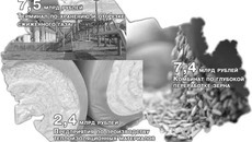 Коллаж Никиты СЕНАТОРОВА