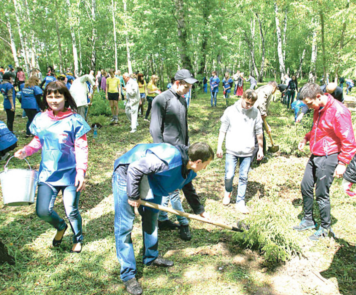Участники акции высадили в парке 50 елей.   Фото Аркадия УВАРОВА