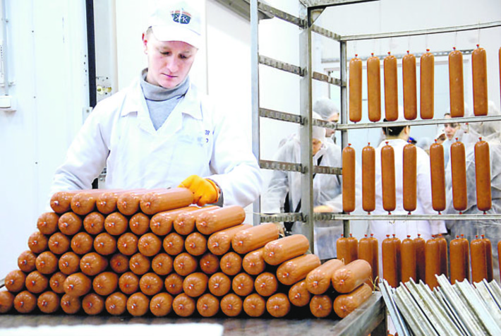 ОАО «Кудряшовское», Колыванский район: инвестиционный проект по увеличению производственных мощностей свинокомплекса на 100 тыс. голов. Стоимость проекта — 2,6 млрд рублей. Реализация позволит предприятию перейти на современные стандарты свиноводства, увеличить производство свинины до 40 тыс. тонн мяса в живой массе. Фото Михаила ПЕРМИНА