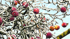 Фото с сайта www.panoramio.com
