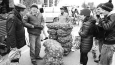 Фото Бориса МОСКВИНА