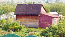 Сегодня трудно найти усадьбу без теплицы. Фото Андрея ГРИБОВА