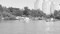 Набережная должна стать центром эстетики. Не случайно здесь традиционно проводятся выставки ландшафтного дизайна. Фото Алексея НИКОЛАЕВА