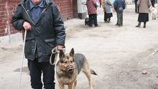 Ежегодную вакцинацию для домашних животных никто не отменял.  Фото Андрея БАУЛИНА