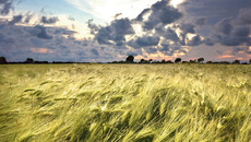 Фото с сайта www.focusagent.net