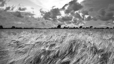 Фото с сайта www.focusagent.net