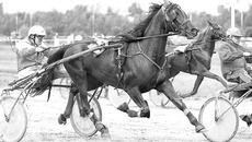 Конные бега: зрелищно и азартно. Фото Аркадия УВАРОВА