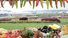 Фото Михаила ПЕРМИНА