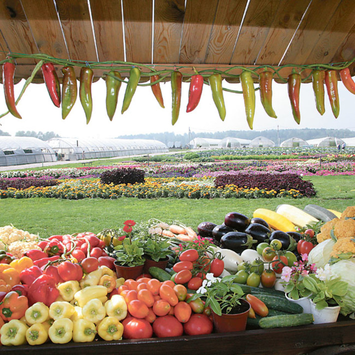 Фото Михаила ПЕРМИНА