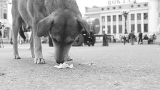 Фото Аркадия УВАРОВА