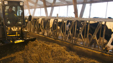 Основные отрасли новосибирской экономики работают стабильно. Фото Аркадия УВАРОВА