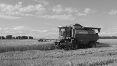 Предприятия промышленности и сельского хозяйства Искитимского района ежегодно производят продукции на сумму 25,5 миллиарда рублей

