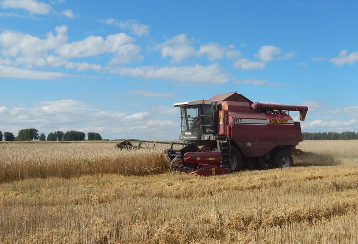 Предприятия промышленности и сельского хозяйства Искитимского района ежегодно производят продукции на сумму 25,5 миллиарда рублей

