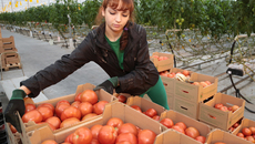 Фото Михаила ПЕРМИНА