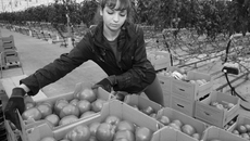 Фото Михаила ПЕРМИНА