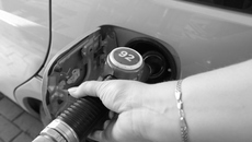 Фото Михаила ПЕРМИНА