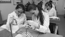 В минувшем году на реализацию мероприятий программы «Выявление и поддержка одаренных детей и талантливой учащейся молодежи» из областного бюджета было направлено более 90 миллионов рублей. Фото Аркадия УВАРОВА