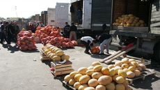 Полностью загруженные самолеты из Средней Азии везут сезонных рабочих. Трудовая сфера Новосибирской области остается самым сильным магнитом для жителей стран бывшего СНГ. Фото Аркадия Уварова