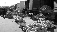 Полностью загруженные самолеты из Средней Азии везут сезонных рабочих. Трудовая сфера Новосибирской области остается самым сильным магнитом для жителей стран бывшего СНГ. Фото Аркадия Уварова