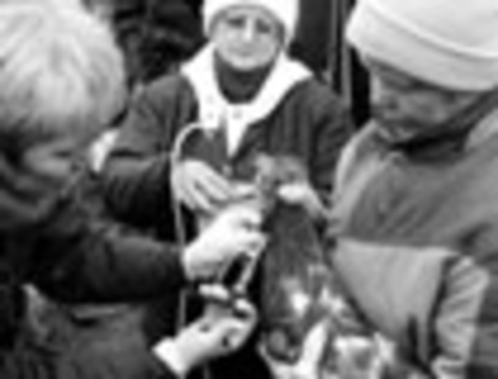 069-01.jpg