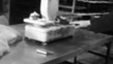 087-11.jpg