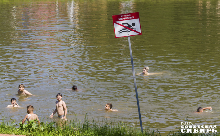 Фото: Андрей Заржецкий