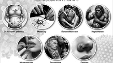 Изображение сгенерировано нейросетью «Шедеврум»