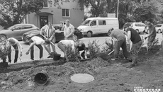 Кампания, развернутая против злостных нарушителей парковки, включает не только штрафы, но и создание как зеленых препятствий на пути, так и  существенных бетонных преград. Фото: Алёна Коврова