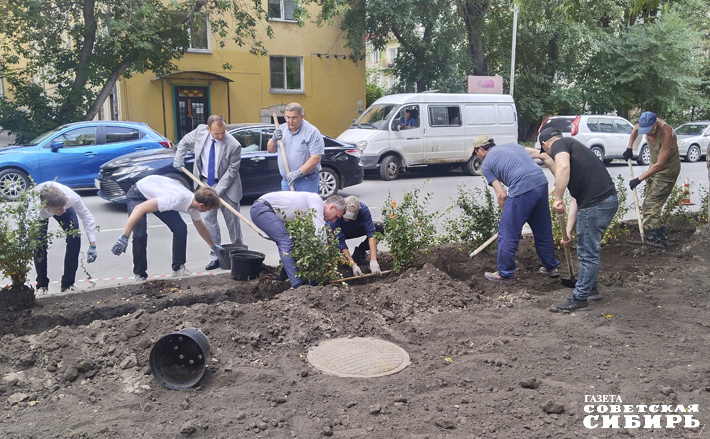 Кампания, развернутая против злостных нарушителей парковки, включает не только штрафы, но и создание как зеленых препятствий на пути, так и существенных бетонных преград. Фото: Алёна Коврова