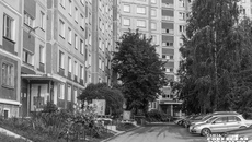 Фото: Андрей Заржецкий