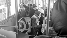 Фото: Андрей Заржецкий