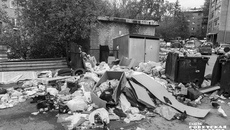 С инфраструктурой по сбору ТБО в областном центре беда. Сейчас в регионе 14 911 контейнерных площадок, надо еще 2021. Фото: Андрей Заржецкий