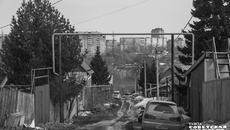 Фото: Андрей Заржецкий