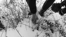 Фото Анны Зубаревой