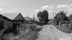 Фото: Андрей Заржецкий