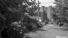 Фото: Андрей Заржецкий